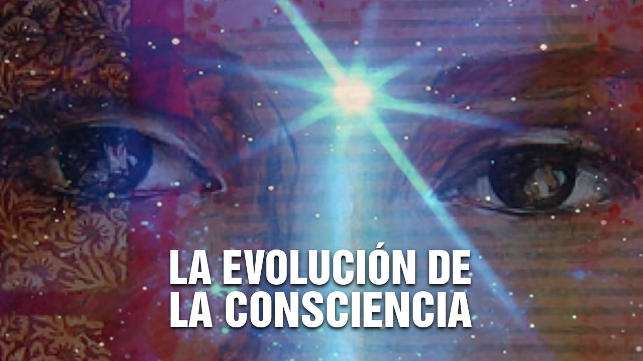 Taller la Evolución de la Consciencia