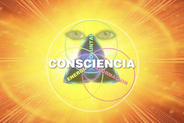 Consciencia, Energía, Voluntad, Información