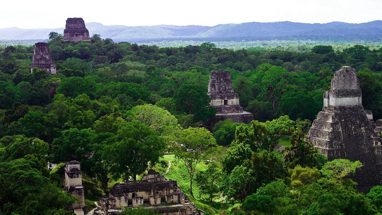 Tikal 2